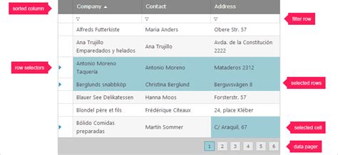 asp.net ajax data grid|ASP.NET AJAX Data Grid Control .
